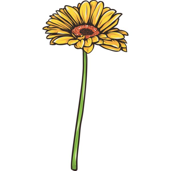 Blume Gerbera Miniaturansicht