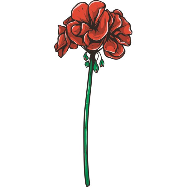 Blume Geranie Miniaturansicht