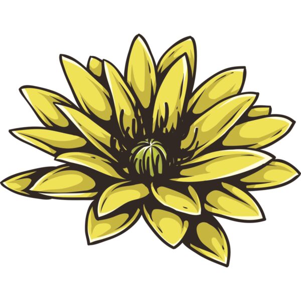 Blume Wasserlilie Miniaturansicht