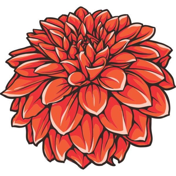 Blume Dahlie Miniaturansicht