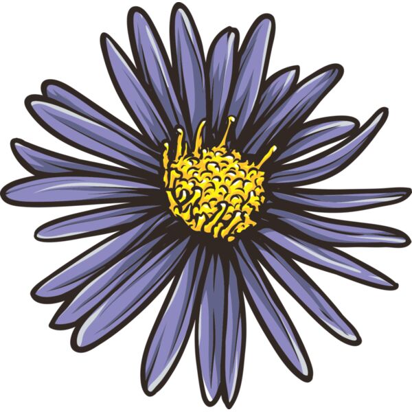 Blume Aster Miniaturansicht
