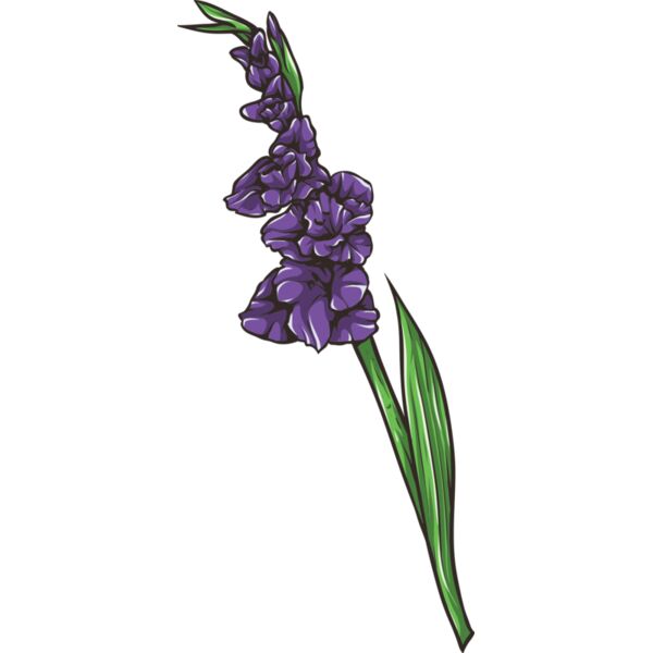 Blume Gladiol Miniaturansicht