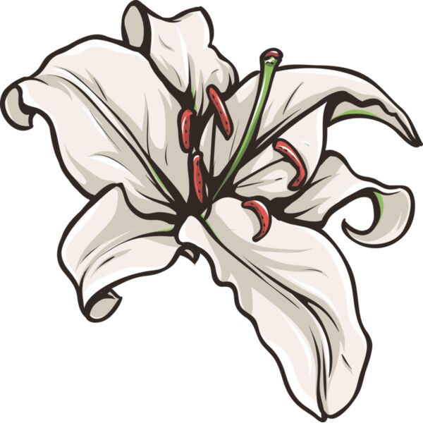 Blume Lilie Miniaturansicht