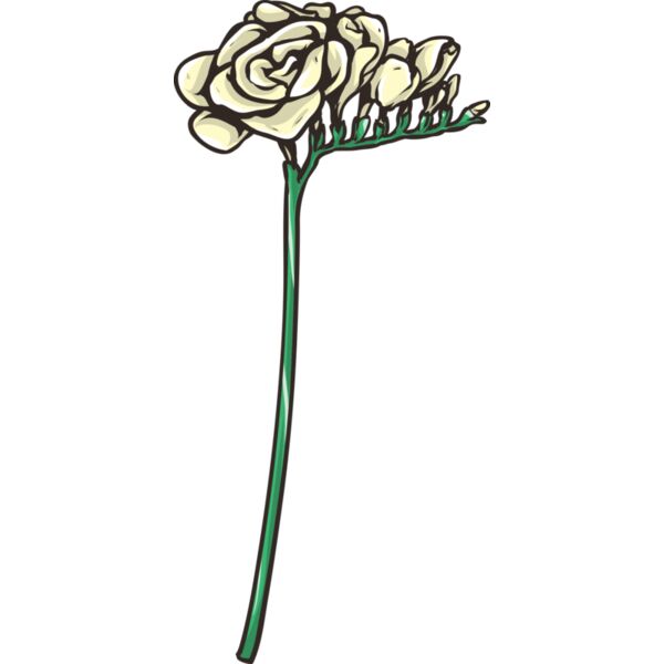 Blume Freesia Miniaturansicht