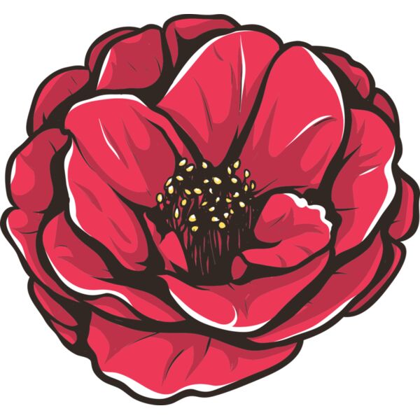 Blume Kamelia Miniaturansicht