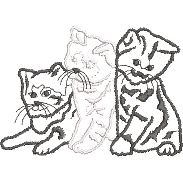 Katzen Schwarz Weiß 150 x 100 mm Miniaturansicht