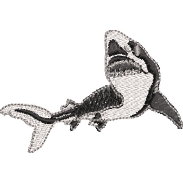 Hai 80 x 54 mm Miniaturansicht