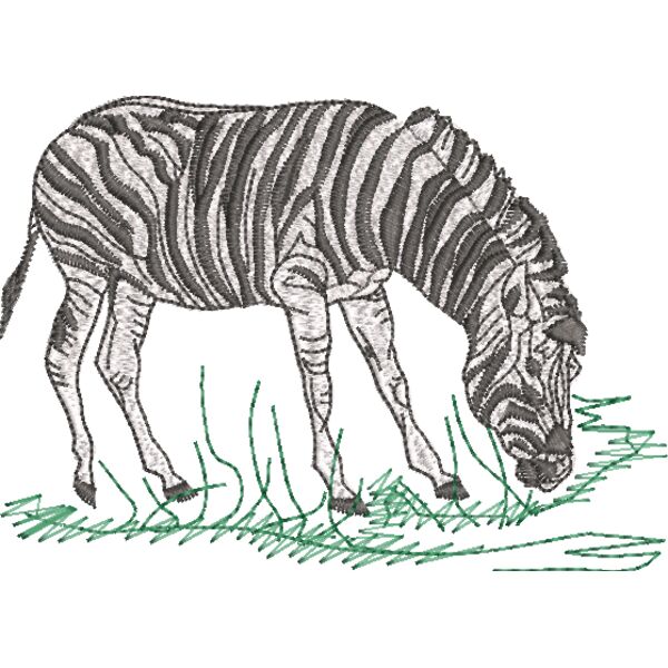 Zebra 150 x 110 mm Miniaturansicht