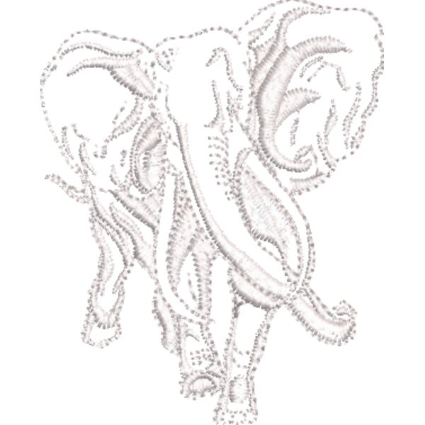 Elefant Weiß 70 x 100 mm Miniaturansicht