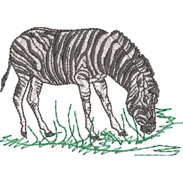 Zebra 100 x 70 mm Miniaturansicht