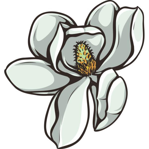 Blume Magnolia Miniaturansicht