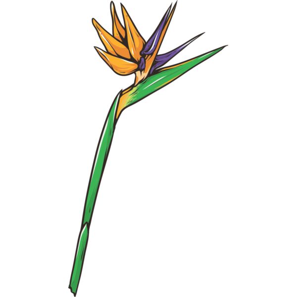 Blume Paradiesvogel Miniaturansicht