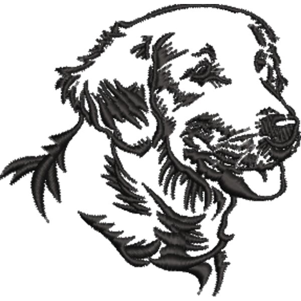 Golden Retriever 2 Schwarz Miniaturansicht