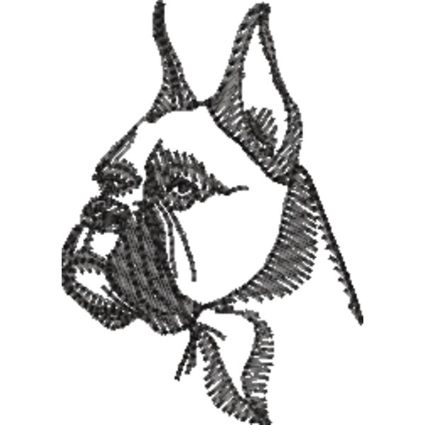 Boxer Schwarz Miniaturansicht