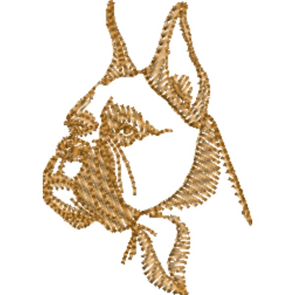 Boxer Miniaturansicht