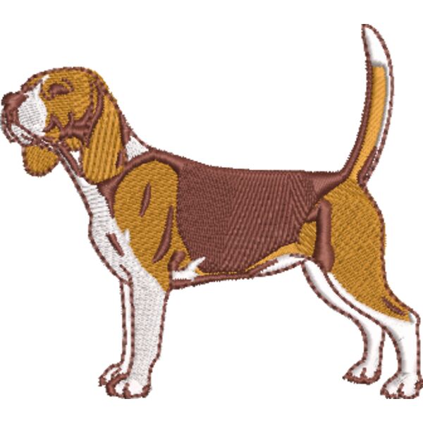 Beagle Miniaturansicht