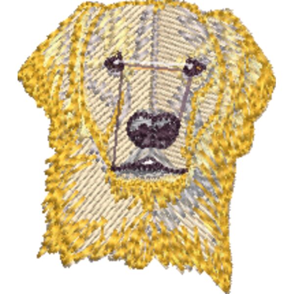 Golden Labrador Miniaturansicht