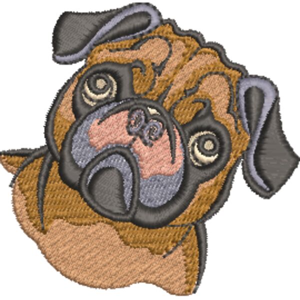 Mops 1 Miniaturansicht