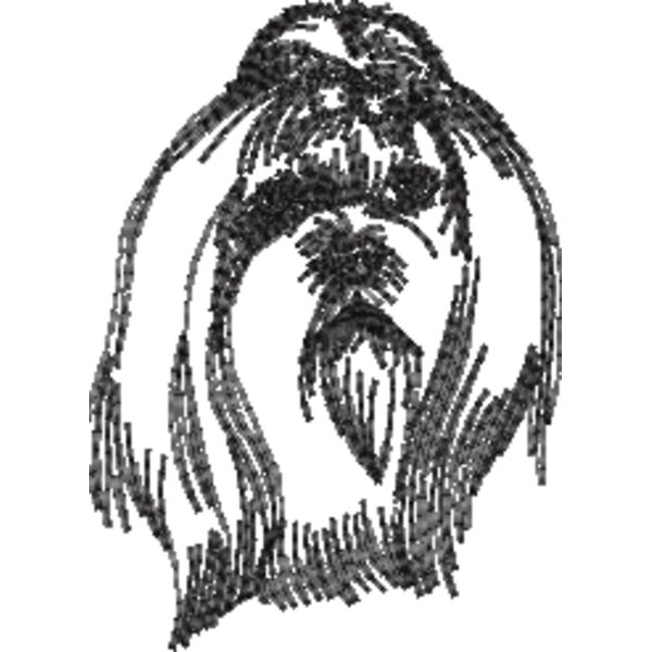 Malteser Schwarz Miniaturansicht