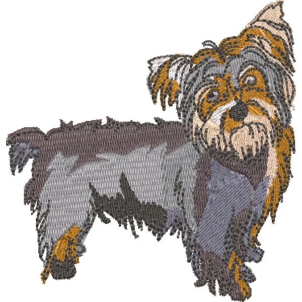 Yorkie Miniaturansicht