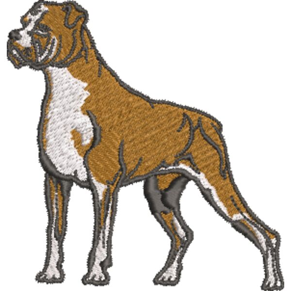 Boxer 1 Miniaturansicht