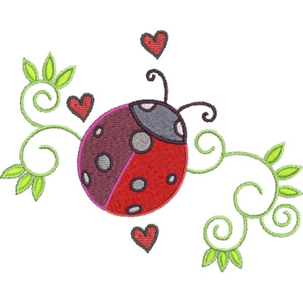 Marienkäfer Miniaturansicht