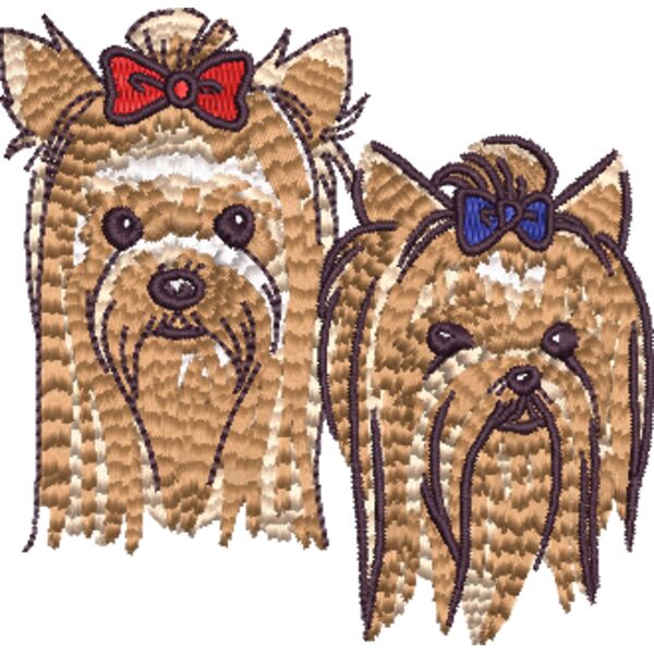 Yorkshire Terrier 2 Miniaturansicht