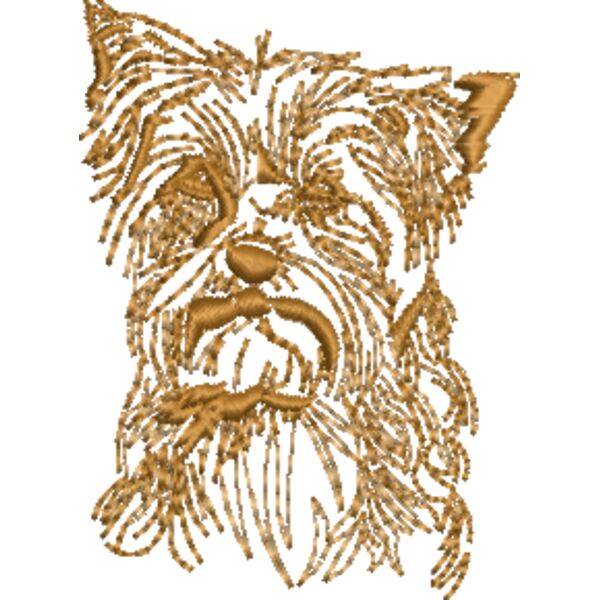 Yorkshire Terrier Miniaturansicht