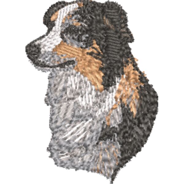 Australischer Schäferhund Miniaturansicht