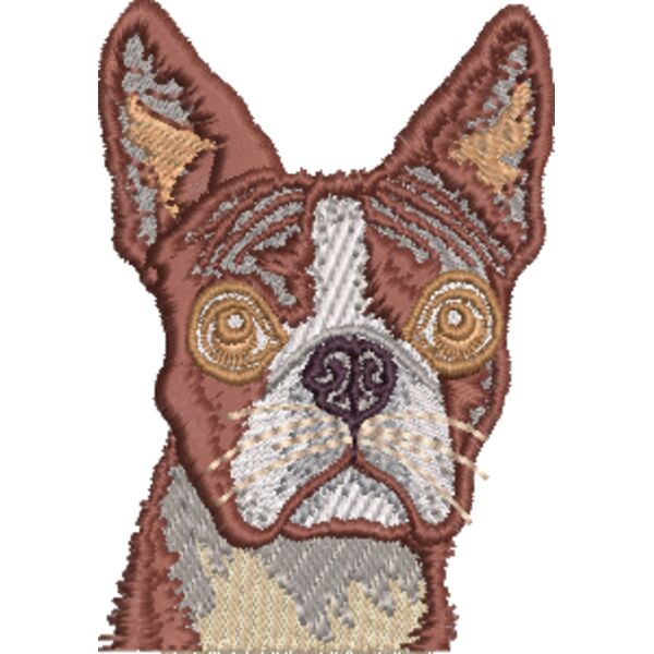 Boston Terrier Miniaturansicht