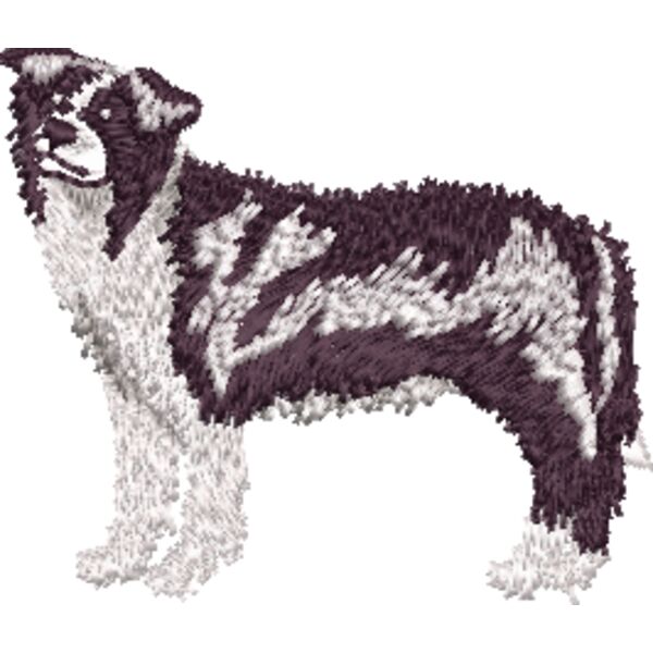 Border Collie 2 Miniaturansicht