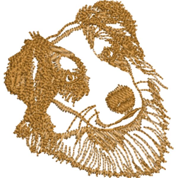 Australischer Schäferhund 1 Miniaturansicht