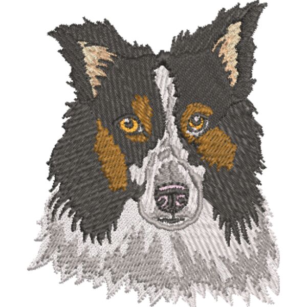 Border Collie 1 Miniaturansicht