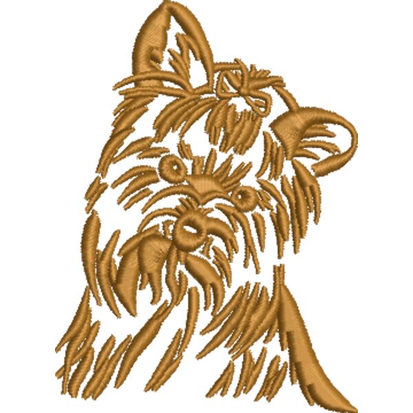 Yorkshire Terrier 3 Miniaturansicht