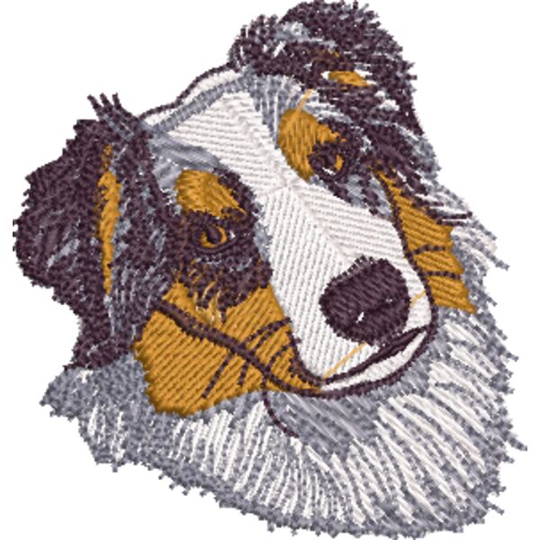 Australischer Schäferhund 2 Miniaturansicht