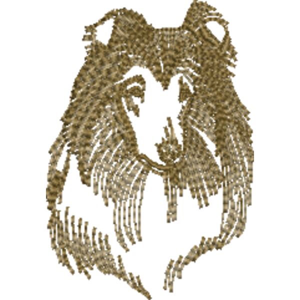 Collie Miniaturansicht