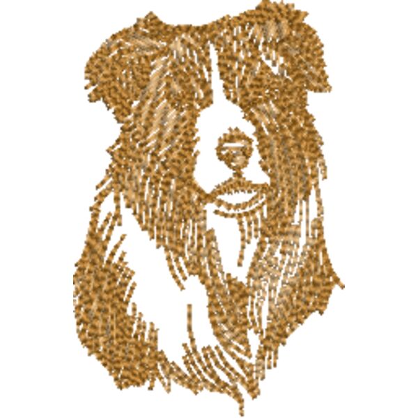 Border Collie Miniaturansicht