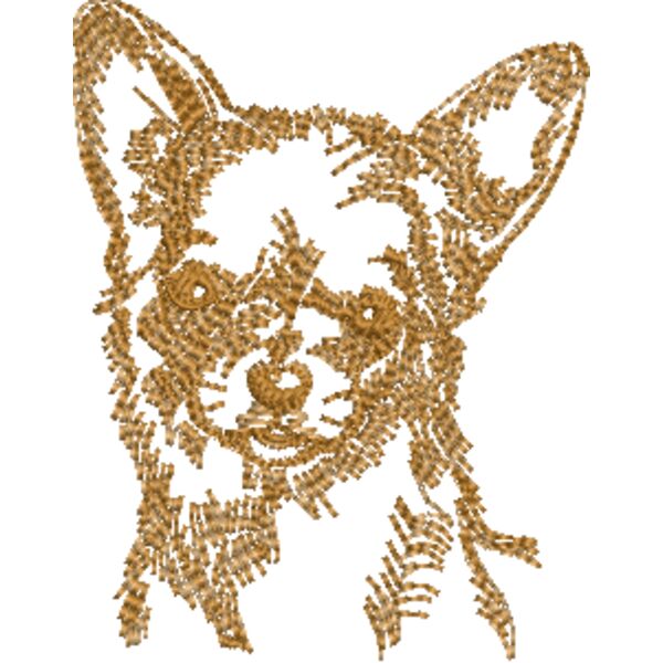 Chihuahua Miniaturansicht