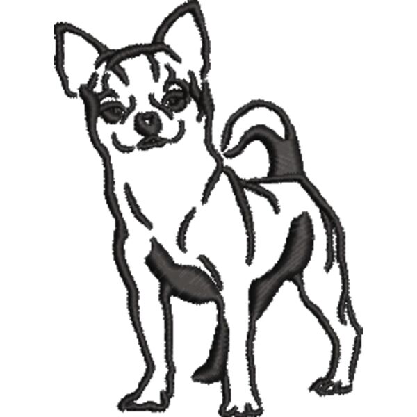 Chihuahua 2 Schwarz Miniaturansicht