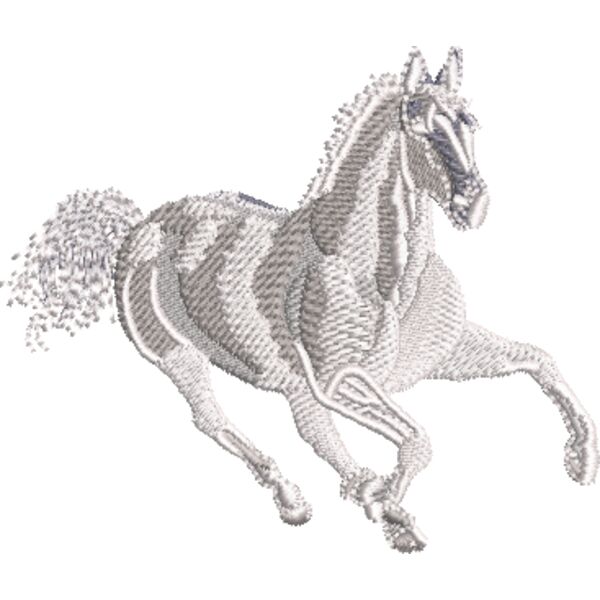 Pferd 10 Weiß Miniaturansicht