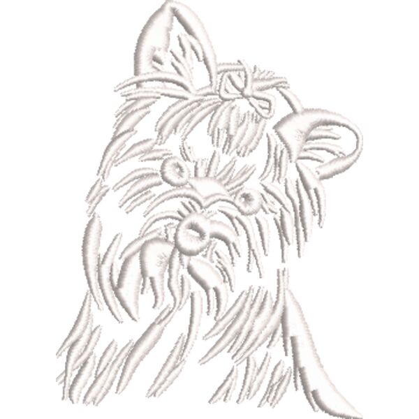 Yorkshire Terrier 3 Weiß Miniaturansicht