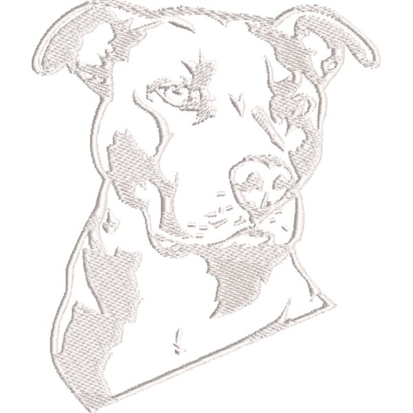 Pit Bull Weiß Miniaturansicht