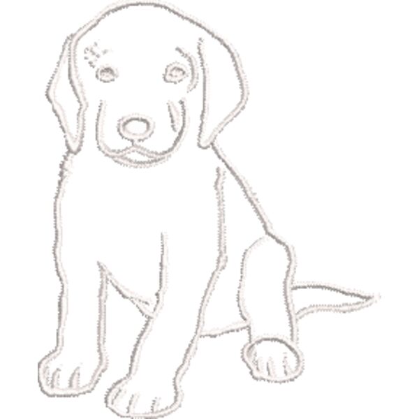 Golden Retriever 4 Weiß Miniaturansicht