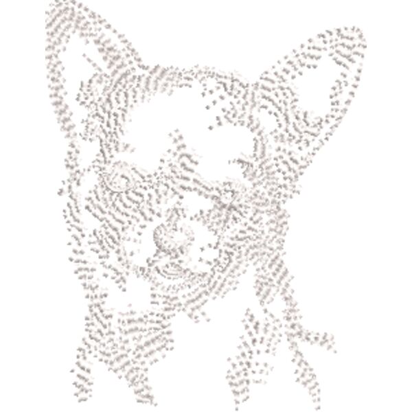 Chihuahua Weiß Miniaturansicht