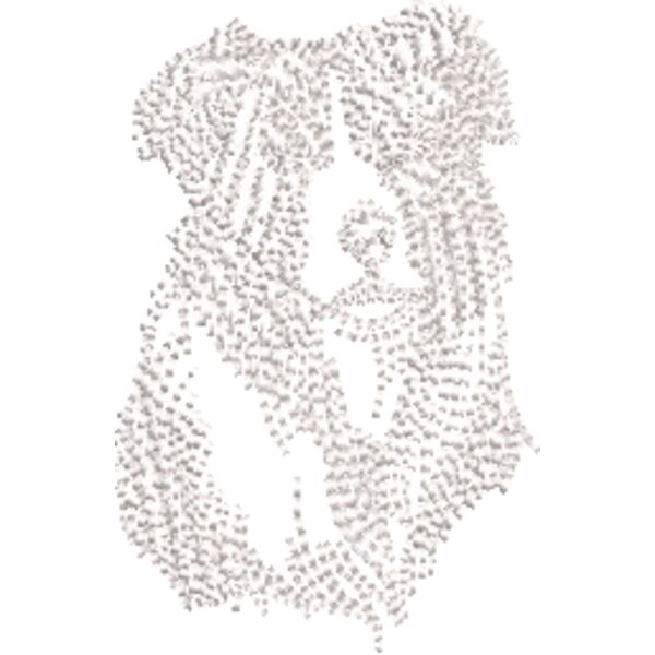 Border Collie Weiß Miniaturansicht