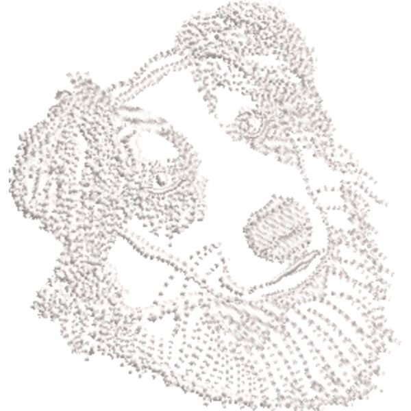 Australischer Schäferhund 1 Weiß Miniaturansicht