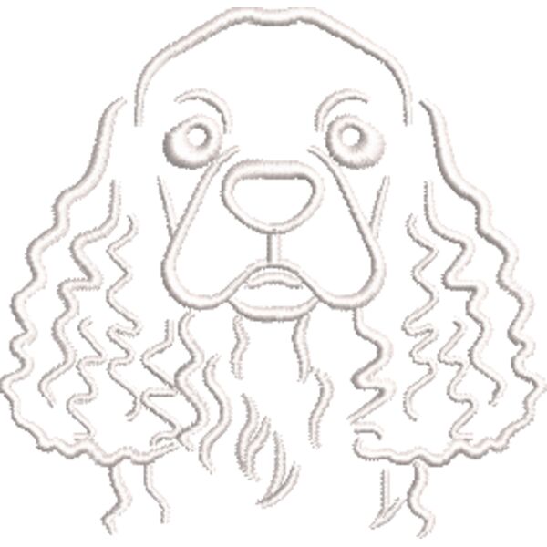 Langhaardackel Weiß Miniaturansicht