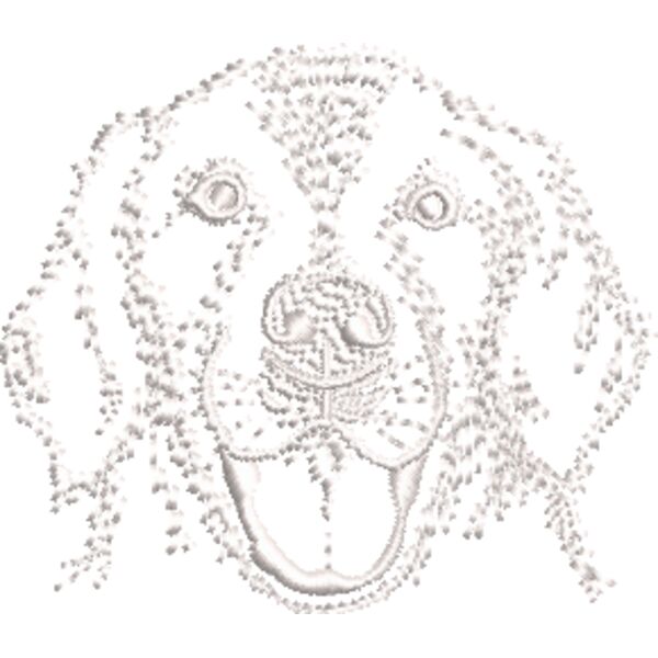 Labrador Weiß Miniaturansicht