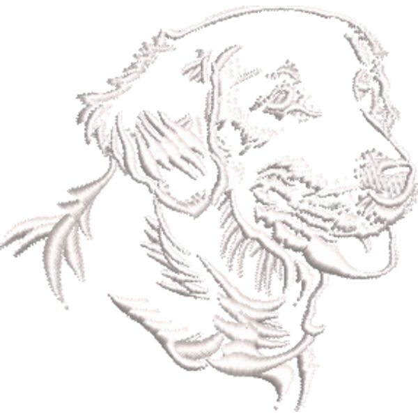 Golden Retriever 2 Weiß Miniaturansicht