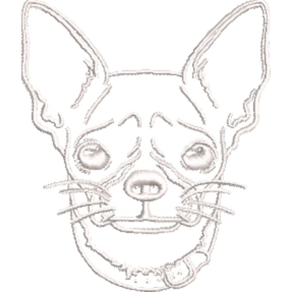 Chihuahua 3 Weiß Miniaturansicht